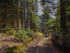 One of the tracks I run on.