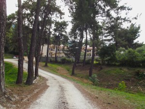 The drive leading to the hotel.