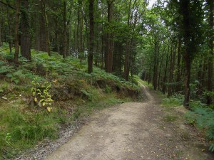 Part of my 3.3-mile circuit.