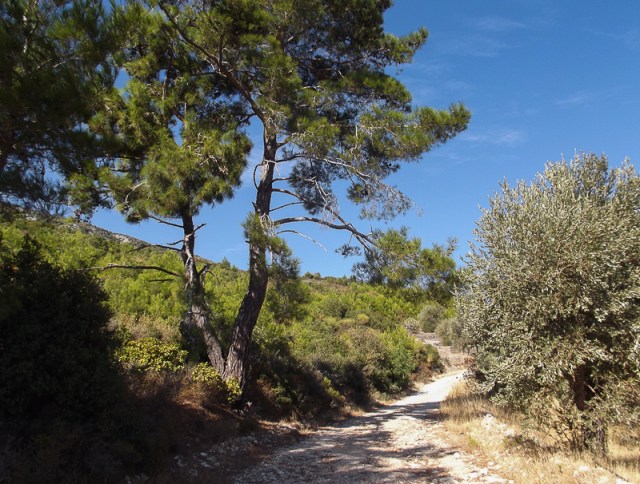 9-27-nightingale-walk1