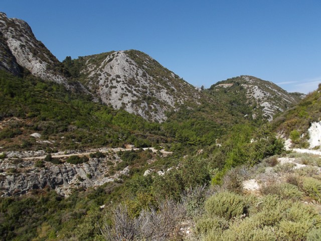 9-27-nightingale-walk2