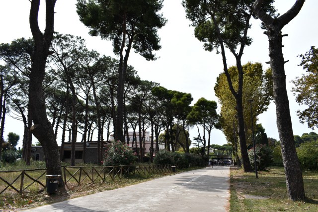 Avenue approaching Pompeii