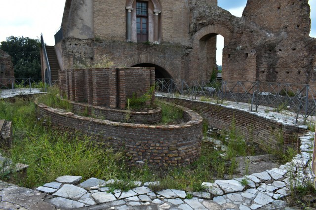 Palatine6